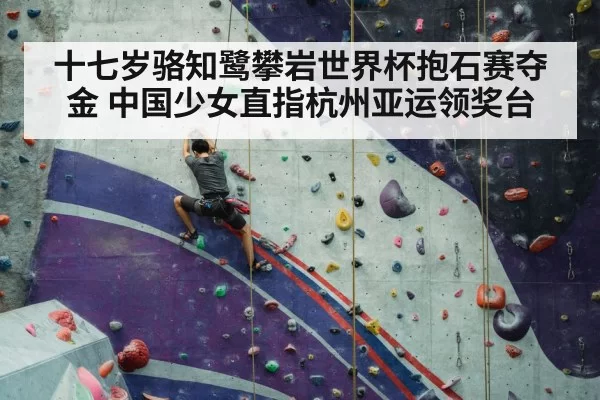 sport climbing competition wall